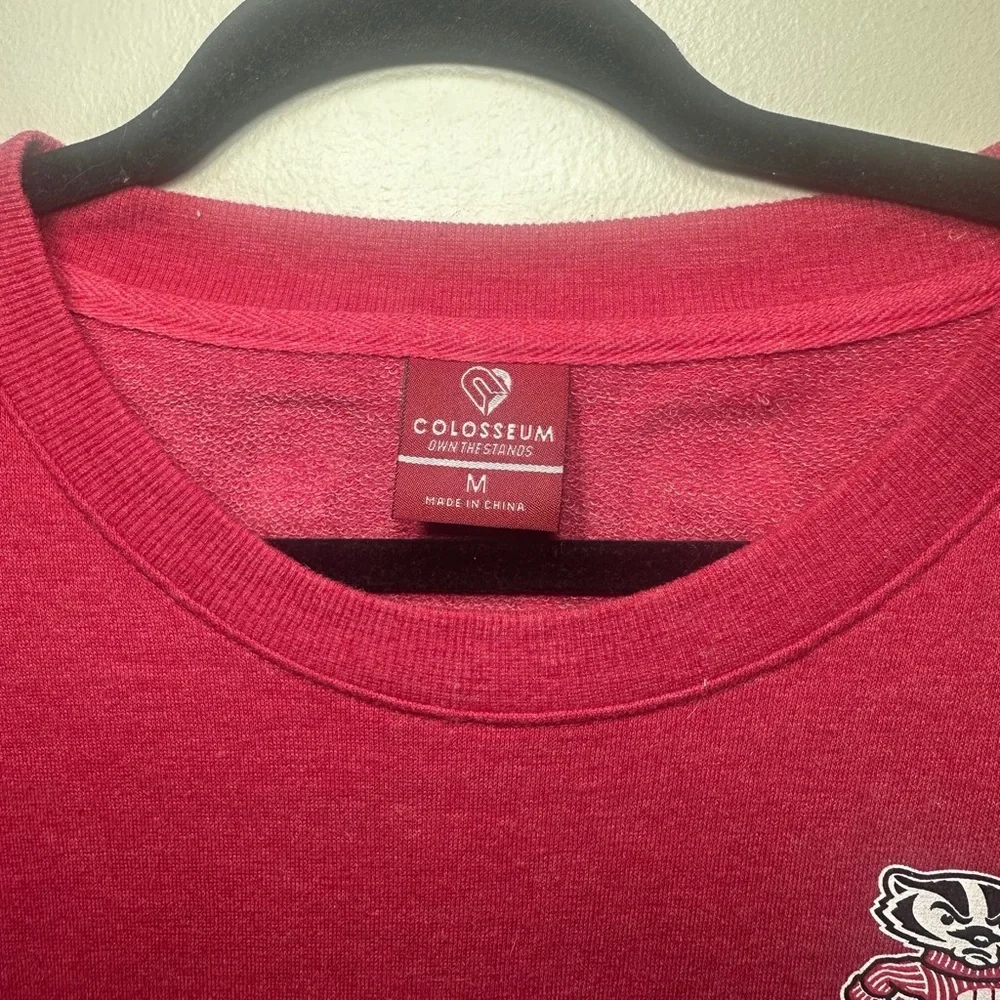 Wisconsin Badgers Women’s Medium M Long Sleeve Bucky Badger Logo - Picture 3 of 7